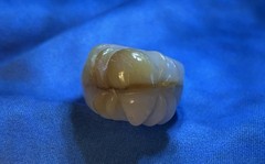 Detailed Insect Design Statement Ring 8.5 Size 17.76g Ivory/ Beige Color