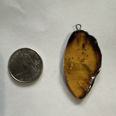 Amber Pendant Brown Leaf-Shaped Freeform