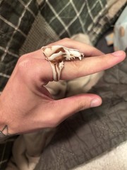 Resin Canine Skull Ring (Size 7.5)