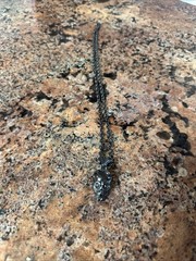 Metal Skull Necklace