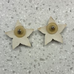 Beige Star Shell Stud Earrings Pair Butterfly Back Lobe Beach Sea Life