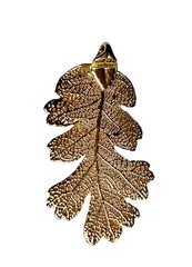 24K Gold Dipped Real Oak Leaf Pendant Botanical Nature Jewelry Boho No Chain