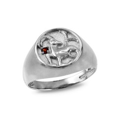 Sterling Silver CZ Birthstone Zodiac Ring