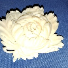 Ivory Flower Brooch Pin Back, Plastic Floral & Plant Theme, No Stone