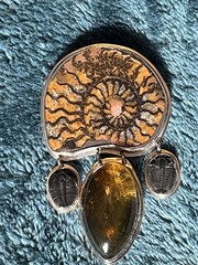 Fossil Ammonite, Amber and Trilobite Brooch/ Necklace Pendant set in 925 Silver