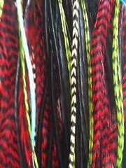 7-10 Peacock Remix with Genuine Grizzly Long Thin Feathers for Hair Extension 7