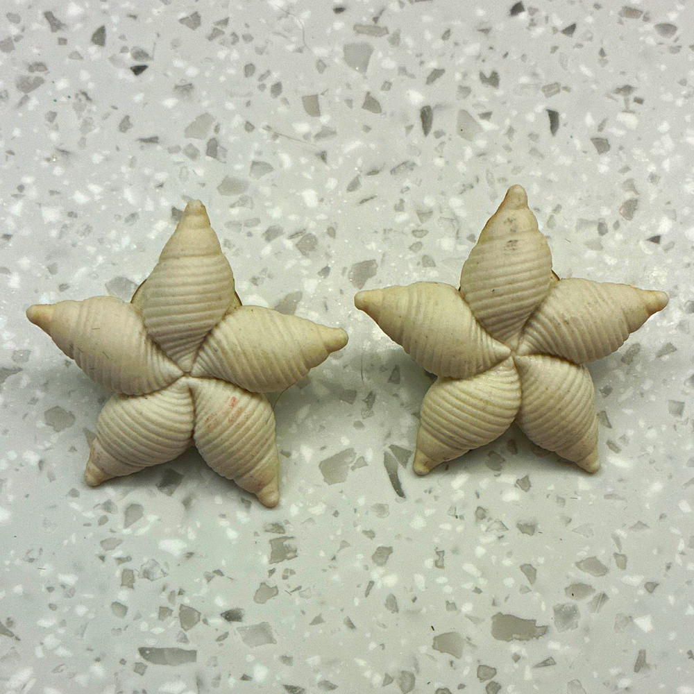 Beige Star Shell Stud Earrings Pair Butterfly Back Lobe Beach Sea Life