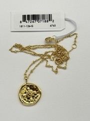 NWT ~ Gorjana Compass Coin Pendant Necklace 18k Gold Plated ~ Free Shipping
