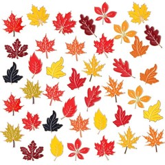 40 Pcs Maple Leaf Enamel Pins Bulk Fall Lapel Pins for Backpacks Autumn Maple…