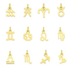 Solid Gold Zodiac Charm Available in 10k or 14k, Cute Horoscope Charm