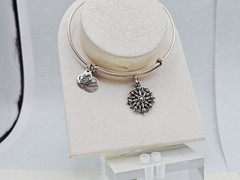 Alex & Ani ” Compass 🧭 Direction Silver Charm Bangle Bracelet ✨️