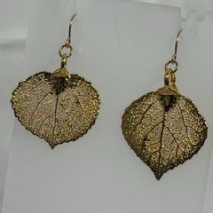 Real Gold Dipped Aspen Leaf Earrings Dangle 24k Plated