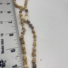 Beige Shell Beaded Necklace 36 In Long Strand Sea Life Beach Womens Jewelry