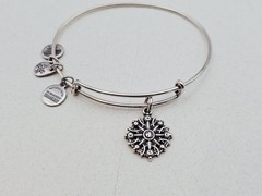 Alex & Ani ” Compass 🧭 Direction Silver Charm Bangle Bracelet ✨️