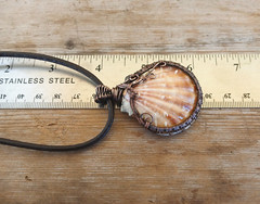 Seashell Necklace, Copper Wrapped Boho Beach, Coastal Necklace ~ Neutral Shades