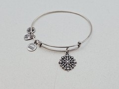 Alex & Ani ” Compass 🧭 Direction Silver Charm Bangle Bracelet ✨️