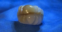 Detailed Insect Design Statement Ring 8.5 Size 17.76g Ivory/ Beige Color