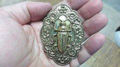 (b-bug-126) small Cockroach roach insect bug lover oval floral brass pin pendant
