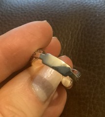 Silver Swan Ring Bird Love Boho VTG CZ Size 7 Artisanal Museum Art Animal Y2K