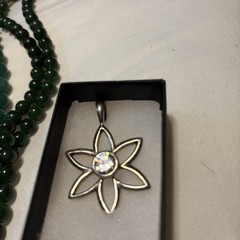Silver Charm