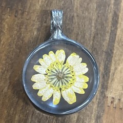 Dried Pressed Yellow Daisy Flower Resin Silver Tone Pendant