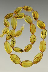 FOSSIL INSECTS Olive Beads Genuine BALTIC AMBER Necklace 31.1g n180814-4