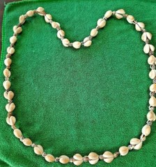 34″ Necklace Lg & Sm SEASHELL STRAND White & Beige From Hawaii Trip 80’s