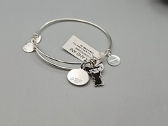 Alex & Ani FRIENDS YOUR’E MY LOBSTER DUO Silver Bangle New W/Tag Card & Box 🎁