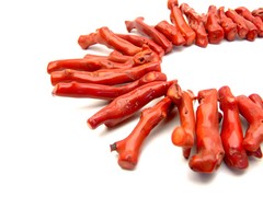 50-70mm Branch Natural Red Coral Necklace for Women Jewelry Long Necklace 18″