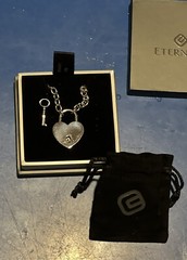 Eternity Necklace w/Heart Lock – Bright Polished Stainless Steel