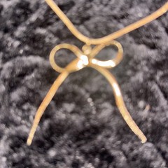 Altar’d State Bow Tie Gold Necklace NWT