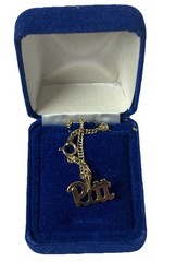 Pittsburgh Panthers Pitt Panthers Necklace Chain Gold-plated .925 Gold Vermeil