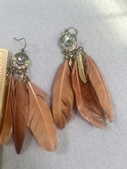 Womens Brown Feather Earrings with Stones Jewelry