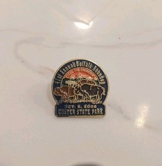 Custer State Park 41st Buffalo Roundup 2006 Pin L.W. Bristol Made In USA