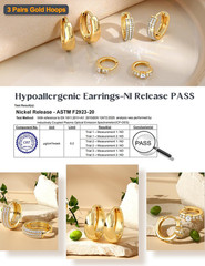 Small 14K Gold Plated Chunky Hoop Earrings for Women Hypoallergenic Silver Earri