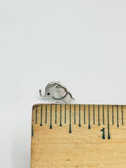 Cute Sterling Silver Miniature Elephant Stud Earrings Push Back Closure