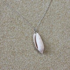 Olive Shell Necklace