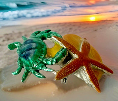 Vintage Silver Tone Brooch Starfish Crab Seashell Beach Ocean Nautical Sea Life