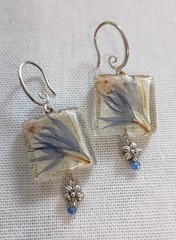Pressed Flower Inside GLASS Cube Silver Tone Blue-Purple Earrings 1-1/4″*Unique*