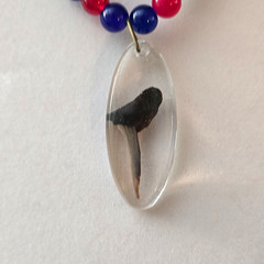 Shark Tooth Beaded Necklace, Clear Oval Charm Pendant, Red Blue Beads, Lobster